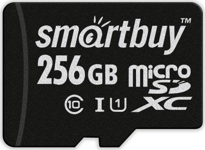 SB256GBSDCL10-01 – фото 5