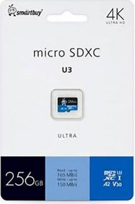 SB256GBSDU3UL01 – фото 1