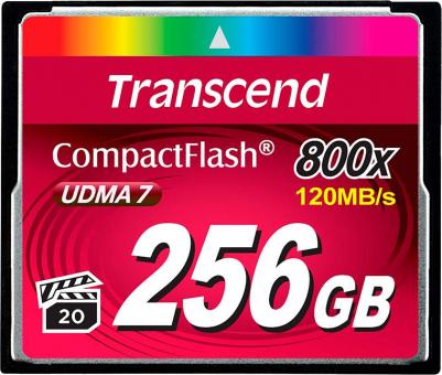 TS256GCF800 – фото 3