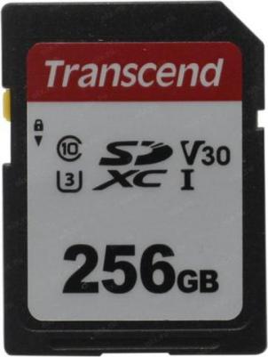 TS256GSDC300S – фото 2