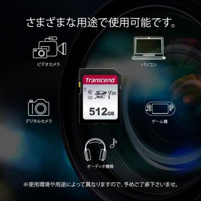 TS512GSDC300S – фото 2