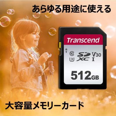 TS512GSDC300S – фото 5