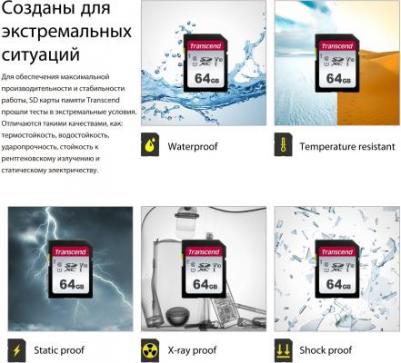 TS64GSDC300S – фото 8