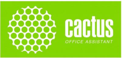 C13S210057 – фото 8