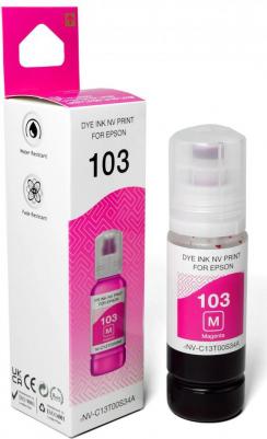 C13T00S34A – фото 12