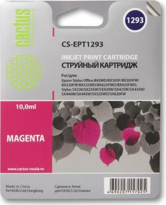 C13T12934012 – фото 14