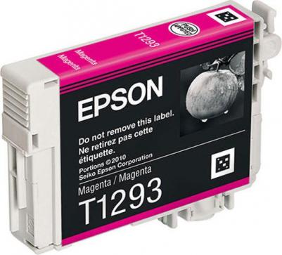 C13T12934012 – фото 15