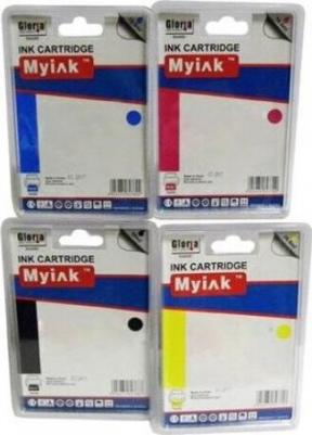 C13T15784010 – фото 8