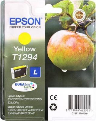 C13T15984010 – фото 9