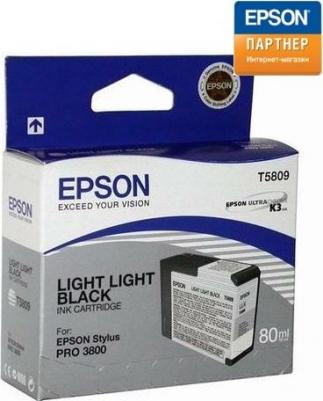 C13T580900 – фото 1