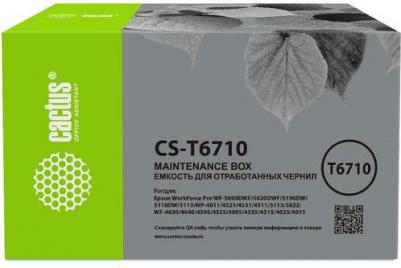 C13T671000 – фото 11