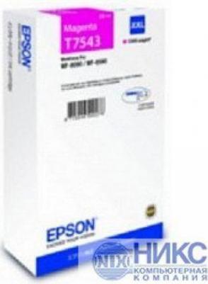 C13T754340 – фото 9