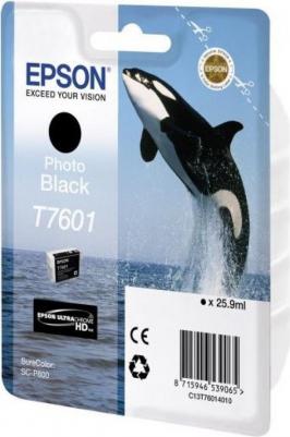 C13T76084010 – фото 1