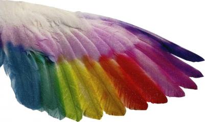 CM993A – фото 14