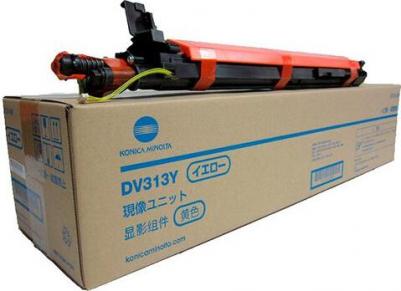 DV-313Y – фото 13