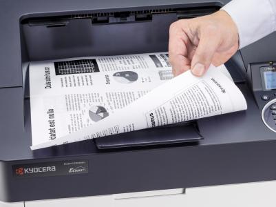 302P393060 – фото 8