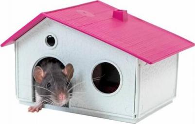 Домик для грызуна пластик, 10х10х14см, цвет в ассортименте – фото 1