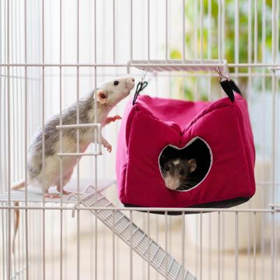 Домик д/грызунов Куб Локер 17х17х10 – фото 2