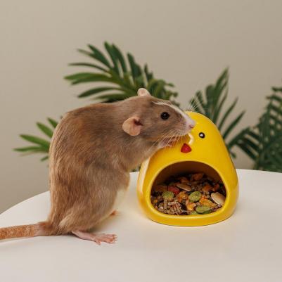 Домик из керамики для грызунов Цыпленок, 10,5х9 см – фото 2