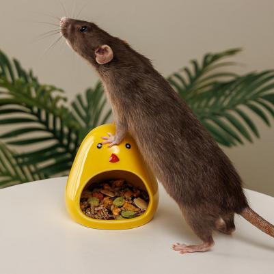 Домик из керамики для грызунов Цыпленок, 10,5х9 см – фото 3