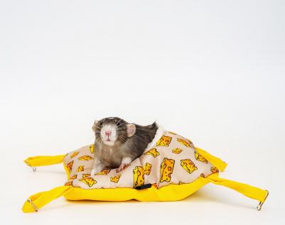 Лежанка-гамак для грызунов Конверт с круглым входом, 18х18 см