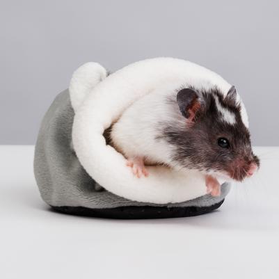 Домик для грызунов Мышка, 12х10х7,5 см – фото 1