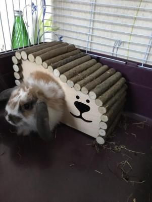 Домик для грызунов Волна 28х16х15 см – фото 1