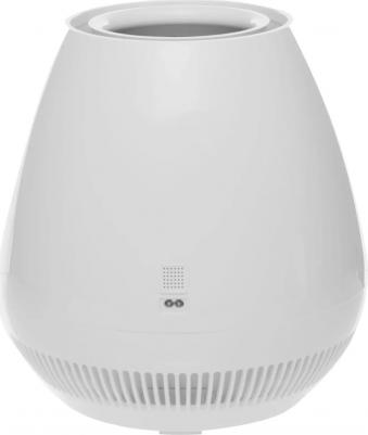 RAW-B350/4.2E-WT – фото 1