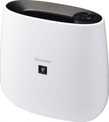 FP-J31RB – фото 6