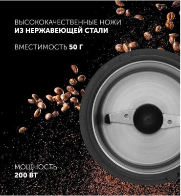 PCG 2014 – фото 5