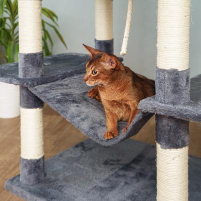 Дом-когтеточка (60х50х204,5 см) для кошек – фото 5