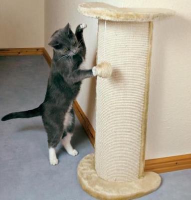 Когтеточка Lorca тумба угловая для кошек 37*27*75см (4350) – фото 3