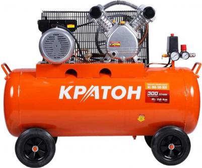 AC 300-100-BDV – фото 3