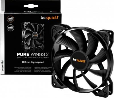 PURE WINGS 2 – фото 18