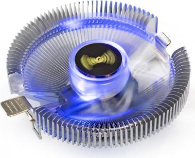 EX286146RUS – фото 3