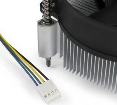 EX292654RUS – фото 2