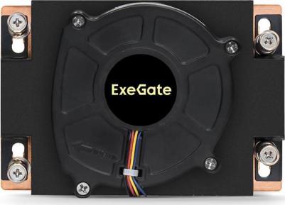 EX293438RUS – фото 4