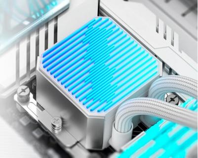 DX240 MAX WHITE – фото 8