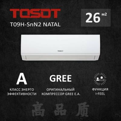 T09H-SnN2/I/T09H-SnN2/O