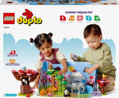 10974 – фото 16