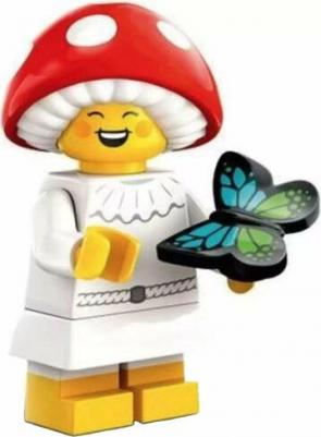 71045 – фото 19