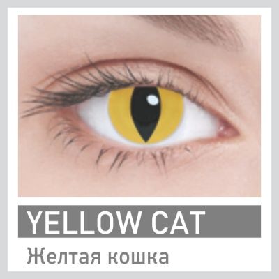 Crazy (1 линза)