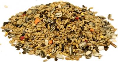 корм для хомяков Classic – фото 5