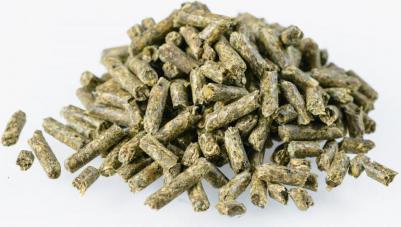 Корм для шиншилл Мадам Шинши 0.8 кг 1 шт – фото 4