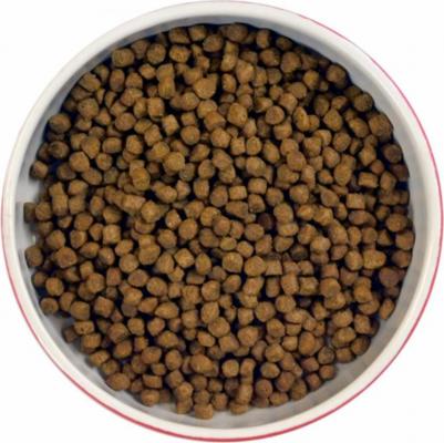 Сухой корм для котят Kitten's delight, курица с рисом, 0,45кг – фото 8