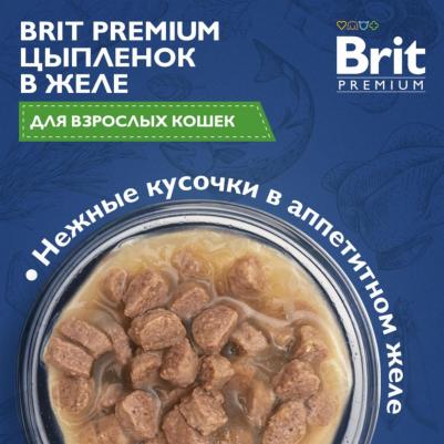 Adult Корм влаж.цыпленок в желе д/кошек пауч 85г – фото 10