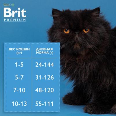 Cat Kitten сухой корм для котят с курицей 400г – фото 20