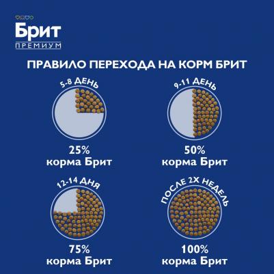 Cat Sensitive сухой корм для кошек с чувствительным пищеварениемс ягненком и индейкой 400г – фото 14