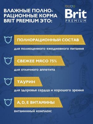 Влажный корм для взрослых кошек с лососем и форелью 85г – фото 10