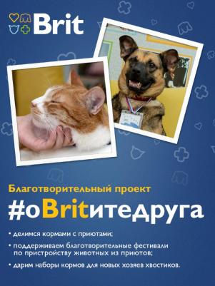 Влажный корм для взрослых кошек с треской в соусе 85г – фото 5